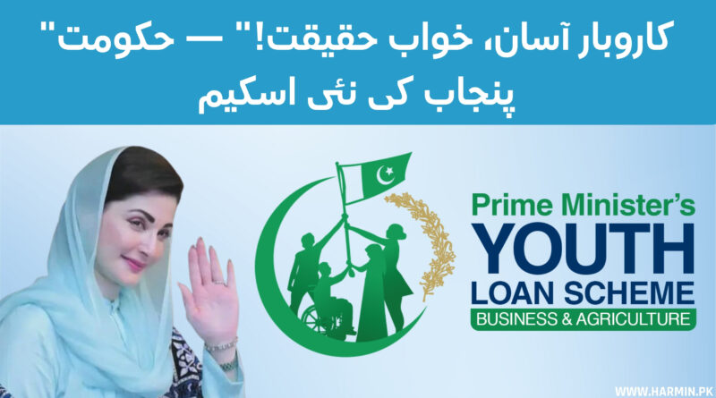 Government Loan Scheme for Small Business in Punjab